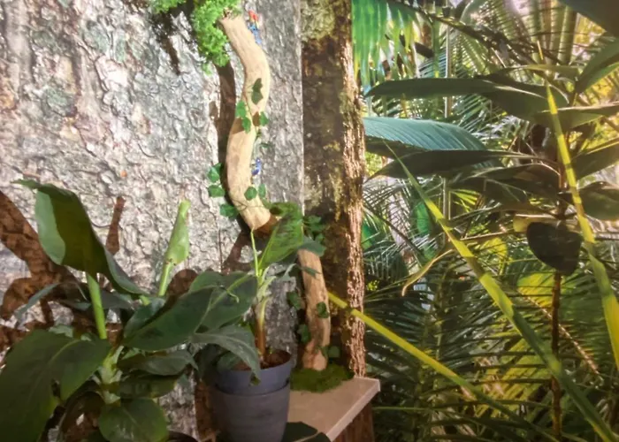 Welcome To The Jungle