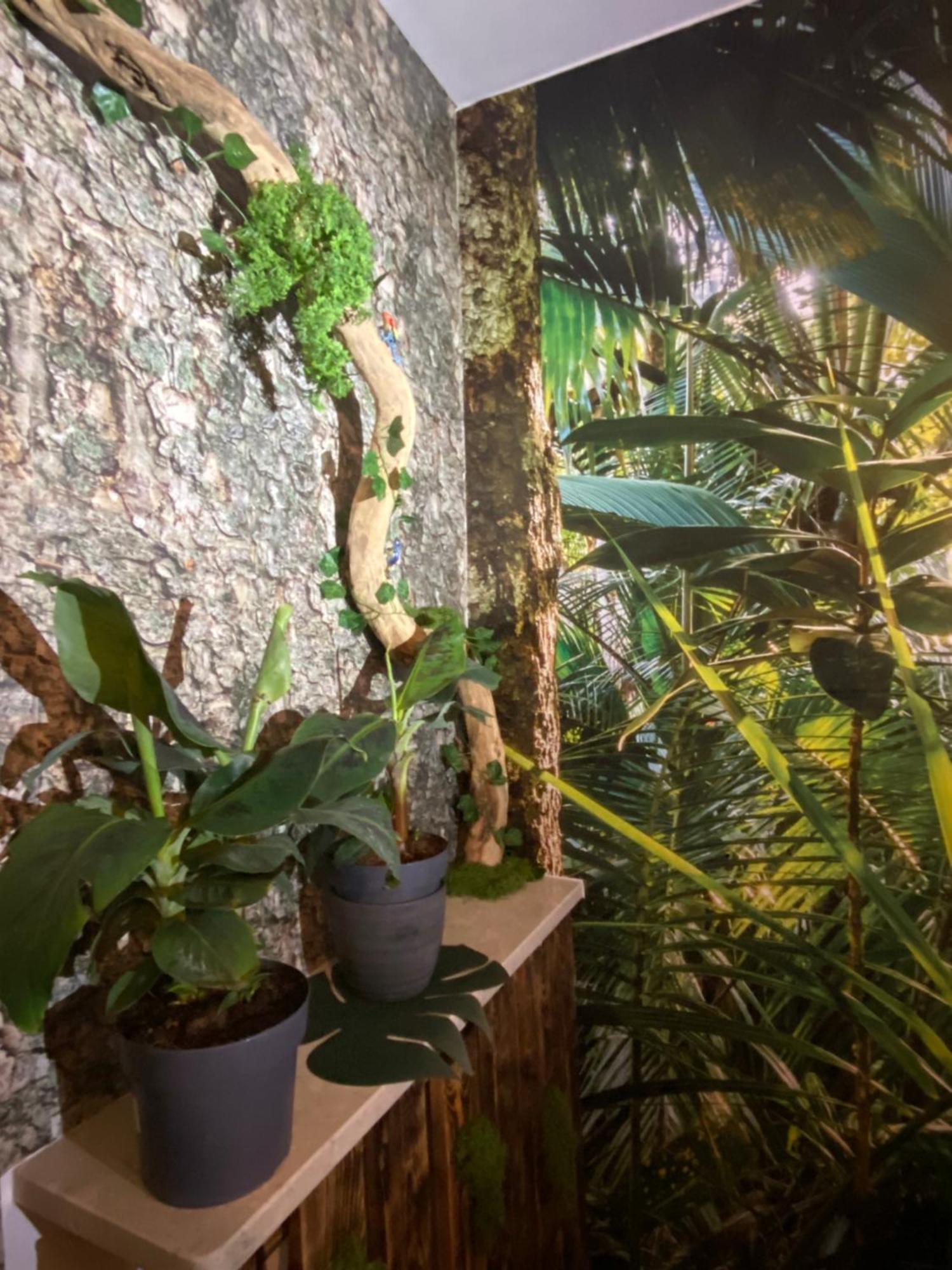 Apartment Welcome To The Jungle *